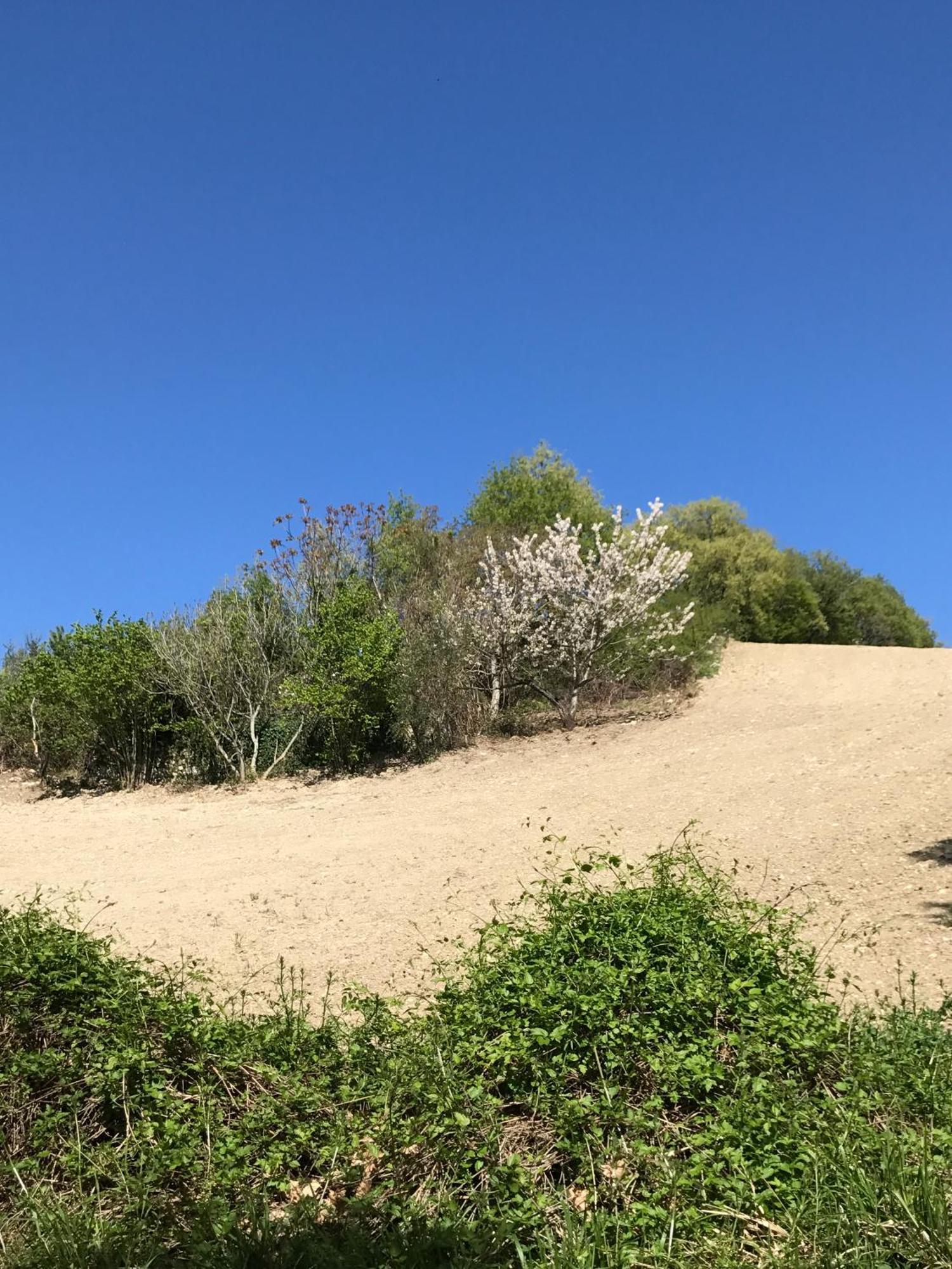 B&B Il Sentiero Dei Goti Monte Grimano Terme Kültér fotó
