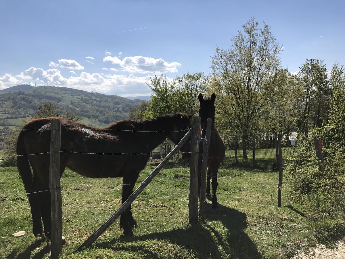 B&B Il Sentiero Dei Goti Monte Grimano Terme Kültér fotó